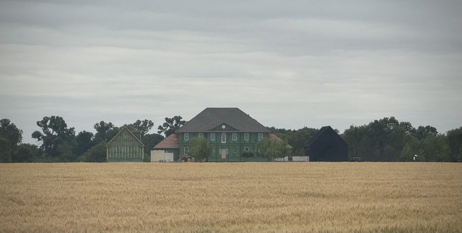 Bellrise